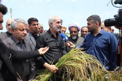 آیین اولین برداشت مکانیزه برنج کشور در بابل با حضور استاندار مازندران برگزار شد