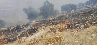 قلب زاگرس (خائیز ) در سایه بی تدبیری مسولان محیط زیست استان در آتش میسوزد.