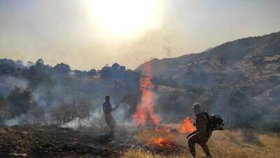 فرماندار کهگیلویه: دامنه آتش منطقه حفاظت شده خائیز در حال گسترش است