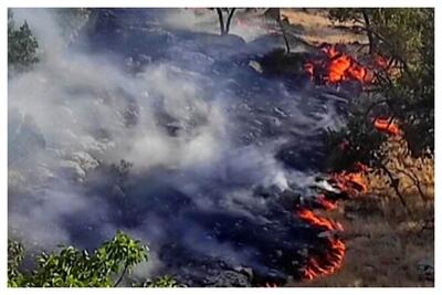 آتش منطقه حفاظت شده خائیز هنوز مهار نشده است+ عکس