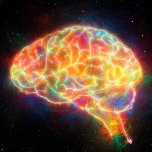 چگونه مغز کنجکاوی می کند؟
