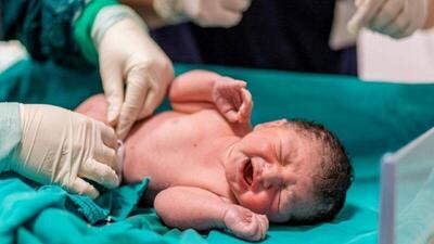 زنجان در نرخ ولادت رتبه ۱۵ کشور را دارد