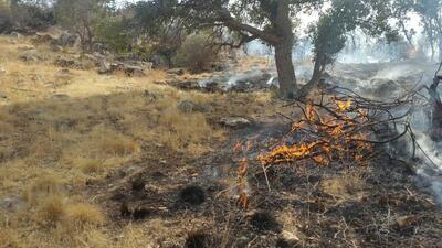 (ویدئو) آتش سوزی در ارتفاعات دهستان چله گیلانغرب