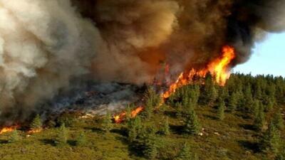 ببینید | شدت آتش‌سوزی کوه‌های دهستان چله شهرستان گیلانغرب