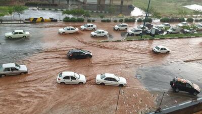 ببینید| بارش باران و وزش شدید باد در مشهد | رویداد24