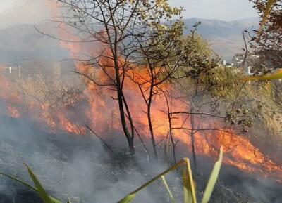 آتش سوزی در ارتفاعات دهستان چله شهرستان گیلانغرب