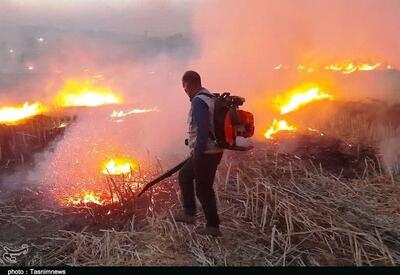 مهار آتش‌سوزی در مزارع کوهدشت - تسنیم