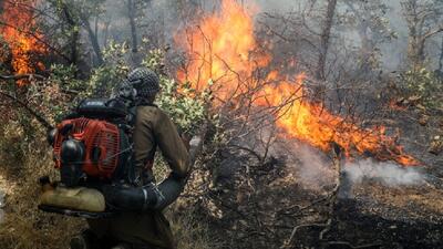 ادامه آتش سوزی در خائیز؛ بیش از ۳۰۰ نفر بالای کوه در حال مهار حریق هستند