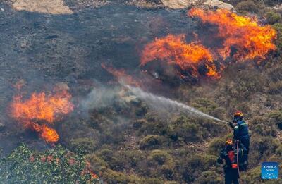 گستره آتش‌سوزی جنگل‌های کبیرکوه در دره‌شهر 40 هکتار است