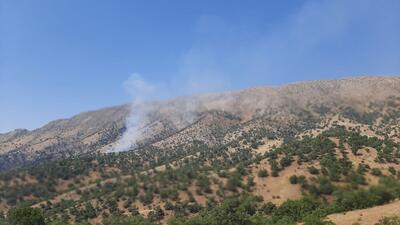 شعله‌ور شدن مجدد آتش در ارتفاعات «سیوک» بویراحمد