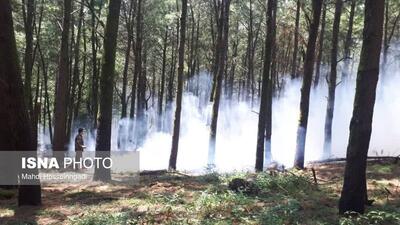 وقوع آتش سوزی در جنگل‌های دست کاشت آستارا / هشدار احتمال آتش سوزی در جنگل ها