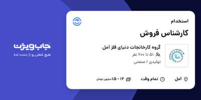 استخدام کارشناس فروش - خانم در گروه کارخانجات دنیای فلز آمل