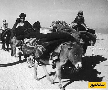 یخ‌رسانی به مردم تهران با الاغ! + عکس / شغل پر درآمد 70 سال پیش در گرمای سوزان تابستان!