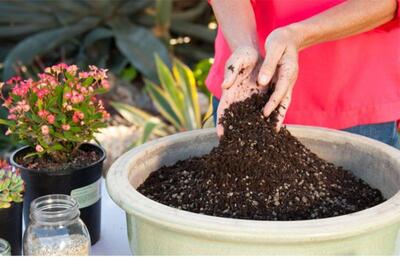 تفاوت خاک گلدان با خاک باغچه چیست؟