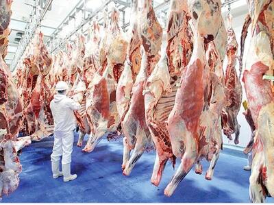 قیمت جدید گوشت قرمز امروز ۲۴ تیر ۱۴۰۳ اعلام شد/ جزییات تغییر قیمت