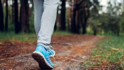 فوایدشگفت انگیز پیاده روی در جنگل بر سلامت + نسخه نا نوشته نیاکان  را دنبال کنید