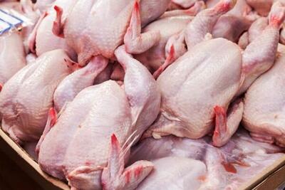 توزیع روزانه مرغ در سطح کشور به ۸ هزار تن رسید