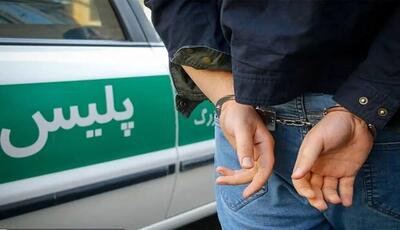 شرور مسلح محله نارمک بازداشت شد