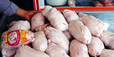 قیمت مرغ پرپر شد | قیمت مرغ گرم در بازار امروز کیلویی چند؟