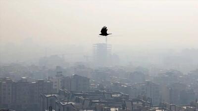 هوای تهران آلوده شد | هوا برای گروه‌های حساس جامعه در وضعیت ناسالم است | شاخص کیفیت هوای تهران ۱۷۰ شد