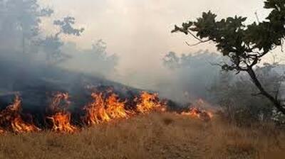 آتش‌سوزی مشکوک و گسترده در مراتع جنگلی ایلام
