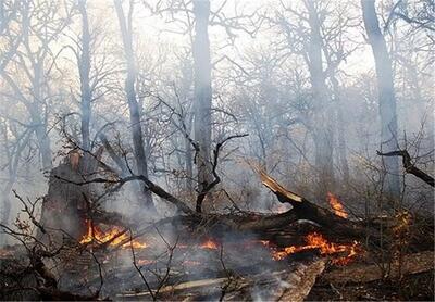 آتش دوباره به جان این جنگل افتاد/ چند هکتار سوخت؟