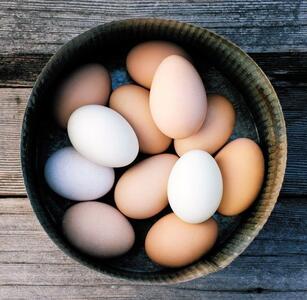 پوست قهوه ای تخم مرغ قهوه‌ای نشانه چیست؟