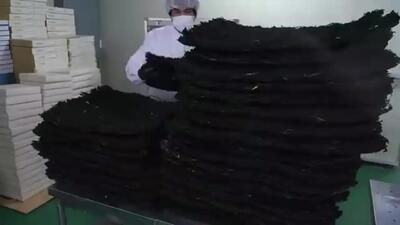 (ویدئو) عملیات فرآوری و بسته بندی کدو تنبل، قارچ و گوجه در یک کارخانه کره ای