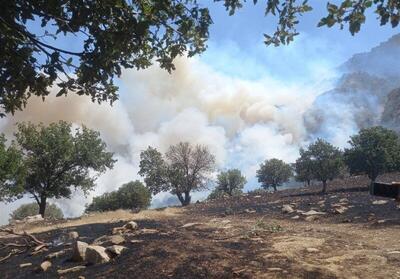 آتش سوزی دوباره در جنگل اولنگ ؛ ۵ هکتار دیگر سوخت