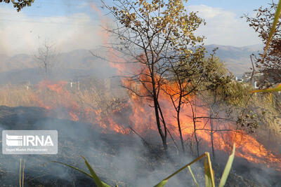 آتش سوزی گسترده در مراتع شهیون دزفول مهار شد