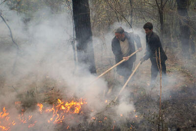 مهار ۸۰ درصد آتش‌سوزی جنگل شهرستان دزپارت