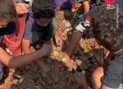 فیلم/ کودکان غزه در حال جستجوی غذا در میان زباله‎ها برای زنده ماندن