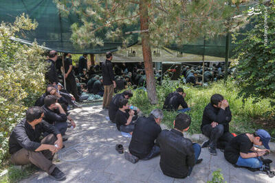 عکس/ عزاداری روز عاشورا در دانشگاه تهران