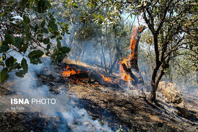احتمال وجود عامل انسانی در شروع آتش‌سوزی جنگل‌های «دزپارت»