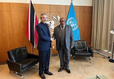 دیدار علی باقری با رئیس مجمع عمومی سازمان ملل - روزنامه رسالت