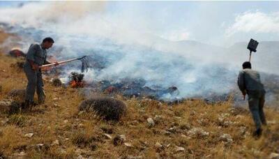 محیط‌بانان آتش را در کیامکی مهار کردند