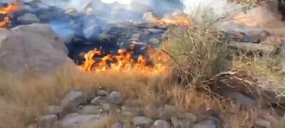 آتش سوزی در مراتع جنگلی کوه شیره‌ زول شهرستان ایوان ادامه دارد!