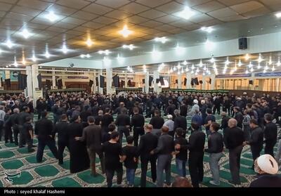 اجتماع سوگواران بوشهری در عاشورا- عکس صفحه استان تسنیم | Tasnim