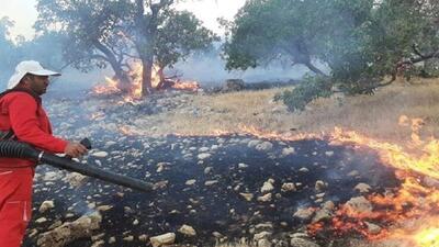 آتش در ارتفاعات شهیون دزفول؛ حریق مهار شد