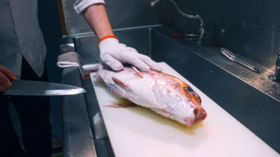 (ویدئو) مراحل برش یک ماهی گران قیمت و تهیه سوشی با آن توسط سرآشپز ژاپنی!