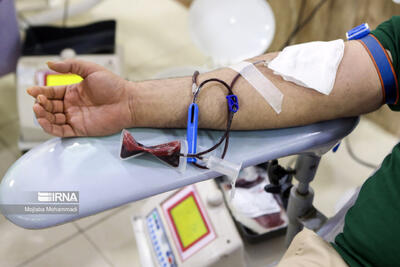 ۷۰۲ زنجانی روزهای تاسوعا و عاشورا خون اهدا کردند