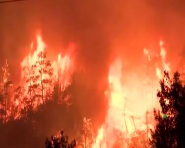 آتش‌سوزی جنگلی در ازمیر ترکیه جان ۳ روستایی را گرفت!