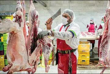 قیمت گوشت قرمز، امروز 27 تیر 1403/ توزیع روزانه گوشت گرم به 300 گرم افزایش یافت