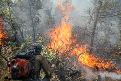 چریدن آتش در مراتع و عرصه های جنگلی