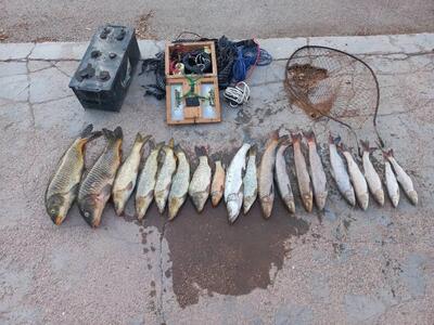 صیاد متخلف ماهی در وارنگه رود البرز دستگیر شد