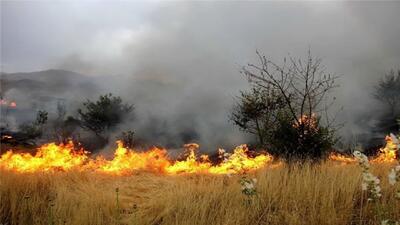 ۱۰۰ هکتار از مراتع اسدآباد طعمه آتش شد