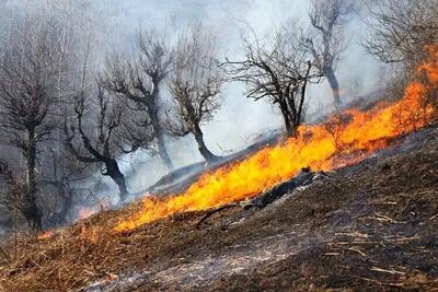 آتش‌سوزی در ارتفاعات جنوب خرم‌آباد/حریق بطور کامل مهار شد
