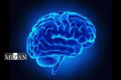 ۴ راهکار مهم برای حفظ سلامت مغز/مهمترین اقدام برای بهبود عملکرد مغز به‌کار انداختنش است