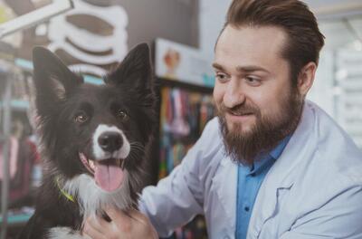 تحول در دامپزشکی حیوانات خانگی با تکنولوژی‌های آنلاین