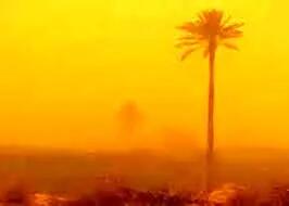 گردوغبار، خسارت ۴۰ هزار میلیارد ریالی به خوزستان وارد کرد